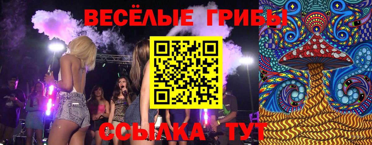 Псилоцибиновые грибы Magic Shrooms Дедовск
