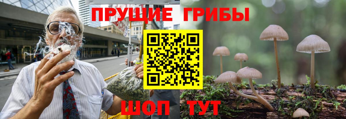 Галлюциногенные грибы Cubensis  Вход с VPN  Дедовск  Галлюциногенные грибы GOLDEN TEACHER 